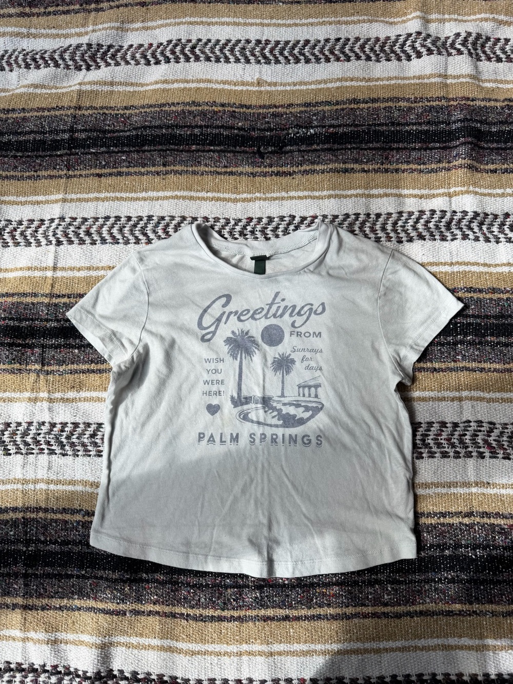 wild fable Light Gray Palm Springs Graphic Tee